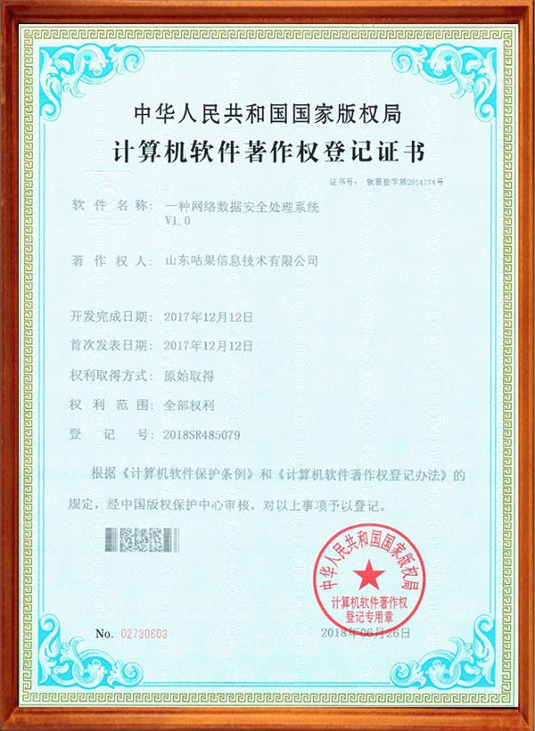 一種網(wǎng)絡(luò)數(shù)據(jù)安全處理系統(tǒng)